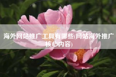 海外网站推广工具有哪些(网站海外推广核心内容)