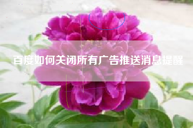百度如何关闭所有广告推送消息提醒