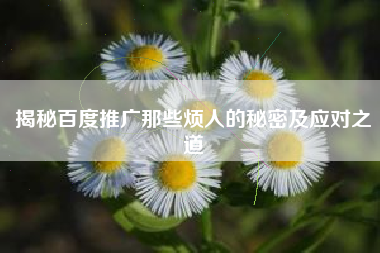 揭秘百度推广那些烦人的秘密及应对之道