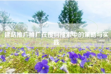 建站推广推广在搜狗搜索中的策略与实践