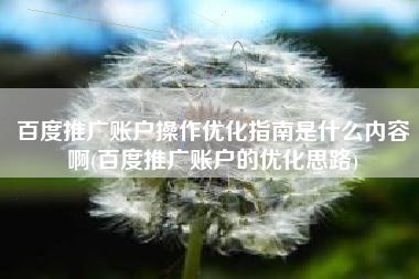 百度推广账户操作优化指南是什么内容啊(百度推广账户的优化思路)