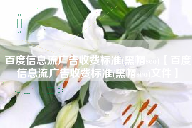 百度信息流广告收费标准(黑帽seo)【百度信息流广告收费标准(黑帽seo)文件】