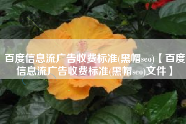 百度信息流广告收费标准(黑帽seo)【百度信息流广告收费标准(黑帽seo)文件】