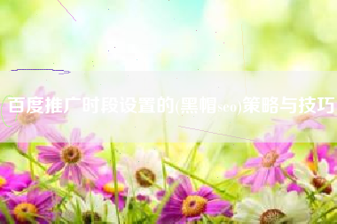 百度推广时段设置的(黑帽seo)策略与技巧