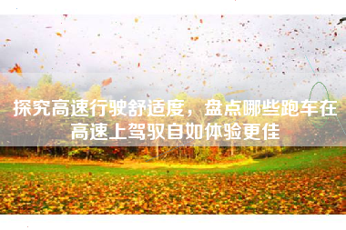 探究高速行驶舒适度，盘点哪些跑车在高速上驾驭自如体验更佳