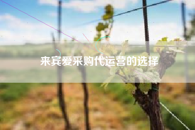 来宾爱采购代运营的选择