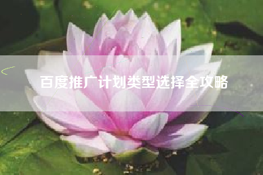 百度推广计划类型选择全攻略