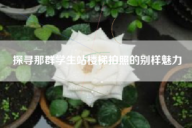 探寻那群学生站楼梯拍照的别样魅力