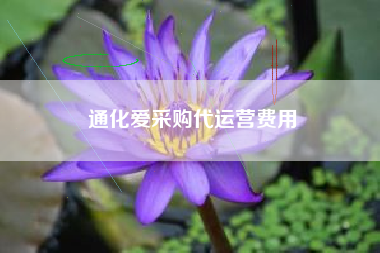 通化爱采购代运营费用