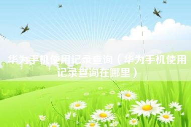 华为手机使用记录查询（华为手机使用记录查询在哪里）
