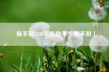 易手游2345手机助手「易手游」