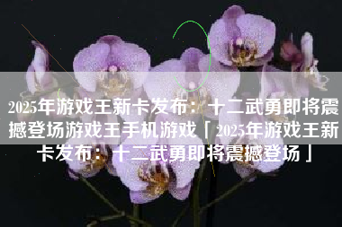 2025年游戏王新卡发布：十二武勇即将震撼登场游戏王手机游戏「2025年游戏王新卡发布：十二武勇即将震撼登场」