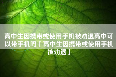 高中生因携带或使用手机被劝退高中可以带手机吗「高中生因携带或使用手机被劝退」