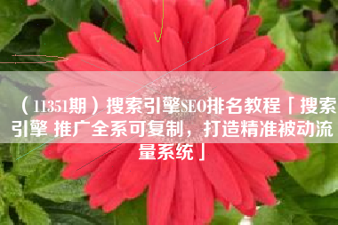 （11351期）搜索引擎SEO排名教程「搜索引擎 推广全系可复制，打造精准被动流量系统」