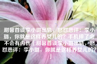 甜馨首谈李小璐出轨，怒怼恶评：李小璐，你就是这样养女儿的？手机摔了会不会有内伤「甜馨首谈李小璐出轨，怒怼恶评：李小璐，你就是这样养女儿的？」