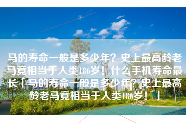 马的寿命一般是多少年？史上最高龄老马竟相当于人类186岁！什么手机寿命最长「马的寿命一般是多少年？史上最高龄老马竟相当于人类186岁！」