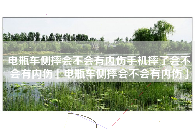 电瓶车侧摔会不会有内伤手机摔了会不会有内伤「电瓶车侧摔会不会有内伤」