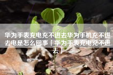 华为手表充电充不进去华为手机充不进去电是怎么回事「华为手表充电充不进去」
