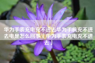 华为手表充电充不进去华为手机充不进去电是怎么回事「华为手表充电充不进去」