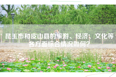 昆玉市和皮山县的旅游、经济、文化等各方面综合情况如何？