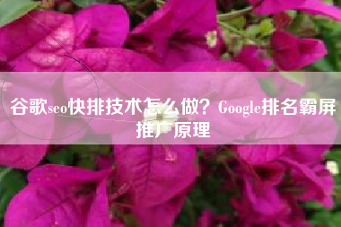 谷歌seo快排技术怎么做？Google排名霸屏推广原理