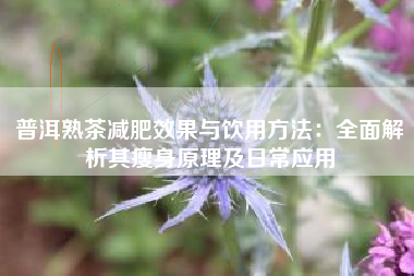 普洱熟茶减肥效果与饮用方法：全面解析其瘦身原理及日常应用