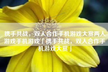 携手共战，双人合作手机游戏大赏两人游戏手机游戏「携手共战，双人合作手机游戏大赏」