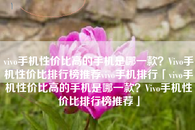 vivo手机性价比高的手机是哪一款？Vivo手机性价比排行榜推荐vivo手机排行「vivo手机性价比高的手机是哪一款？Vivo手机性价比排行榜推荐」