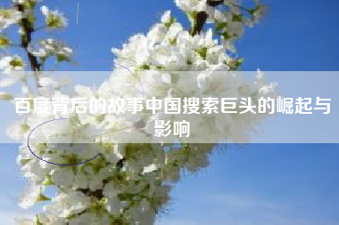 百度背后的故事中国搜索巨头的崛起与影响