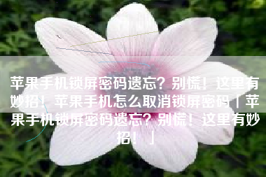 苹果手机锁屏密码遗忘？别慌！这里有妙招！苹果手机怎么取消锁屏密码「苹果手机锁屏密码遗忘？别慌！这里有妙招！」
