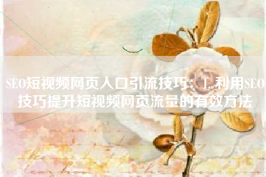 SEO短视频网页入口引流技巧：1. 利用SEO技巧提升短视频网页流量的有效方法