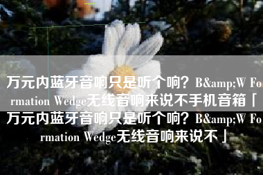 万元内蓝牙音响只是听个响？B&W Formation Wedge无线音响来说不手机音箱「万元内蓝牙音响只是听个响？B&W Formation Wedge无线音响来说不」