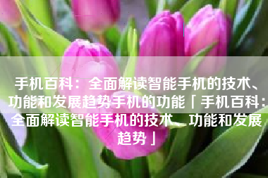手机百科：全面解读智能手机的技术、功能和发展趋势手机的功能「手机百科：全面解读智能手机的技术、功能和发展趋势」