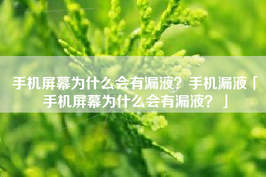 手机屏幕为什么会有漏液？手机漏液「手机屏幕为什么会有漏液？」