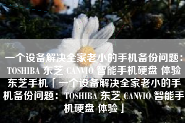 一个设备解决全家老小的手机备份问题：TOSHIBA 东芝 CANVIO 智能手机硬盘 体验东芝手机「一个设备解决全家老小的手机备份问题：TOSHIBA 东芝 CANVIO 智能手机硬盘 体验」