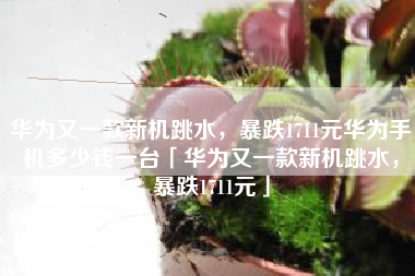 华为又一款新机跳水，暴跌1711元华为手机多少钱一台「华为又一款新机跳水，暴跌1711元」