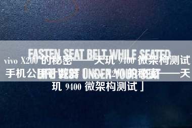 vivo X200 的秘密——天玑 9400 微架构测试手机公里计数器「vivo X200 的秘密——天玑 9400 微架构测试」