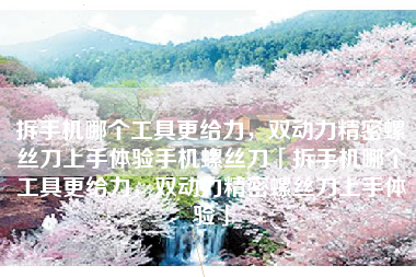 拆手机哪个工具更给力，双动力精密螺丝刀上手体验手机螺丝刀「拆手机哪个工具更给力，双动力精密螺丝刀上手体验」
