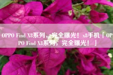 OPPO Find X8系列，完全曝光！x8手机「OPPO Find X8系列，完全曝光！」