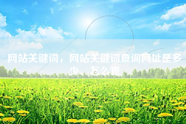 网站关键词，网站关键词查询网址是多少、怎么查