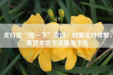 支付宝“碰一下”支付：创新支付体验，重塑本地生活服务生态