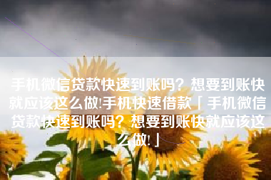 手机微信贷款快速到账吗？想要到账快就应该这么做!手机快速借款「手机微信贷款快速到账吗？想要到账快就应该这么做!」