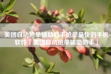 美团自动抢单辅助助手抢单最快的手机软件「美团自动抢单辅助助手」