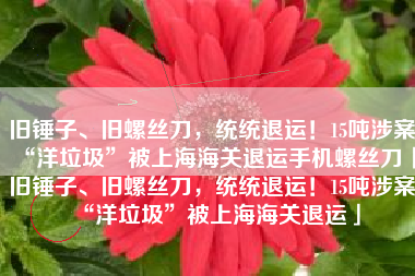 旧锤子、旧螺丝刀，统统退运！15吨涉案“洋垃圾”被上海海关退运手机螺丝刀「旧锤子、旧螺丝刀，统统退运！15吨涉案“洋垃圾”被上海海关退运」