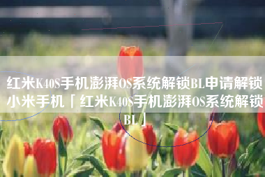 红米K40S手机澎湃OS系统解锁BL申请解锁小米手机「红米K40S手机澎湃OS系统解锁BL」 红米K40S手机澎湃OS系统解锁BL申请解锁小米手机「红米K40S手机澎湃OS系统解锁BL」