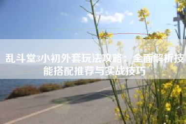 乱斗堂3小初外套玩法攻略:全面解析技能搭配推荐与实战技巧 乱斗堂3小初外套玩法攻略:全面解析技能搭配推荐与实战技巧