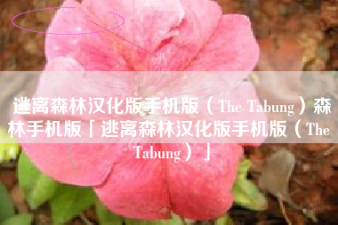 逃离森林汉化版手机版(The Tabung)森林手机版「逃离森林汉化版手机版(The Tabung)」 逃离森林汉化版手机版(The Tabung)森林手机版「逃离森林汉化版手机版(The Tabung)」