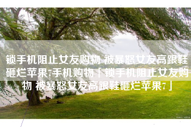 锁手机阻止女友购物 被暴怒女友高跟鞋砸烂苹果7手机购物「锁手机阻止女友购物 被暴怒女友高跟鞋砸烂苹果7」