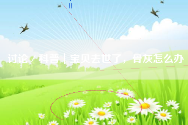 讨论/科普|宝贝去世了,骨灰怎么办 讨论/科普|宝贝去世了,骨灰怎么办