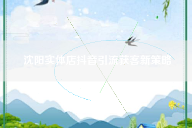 沈阳实体店抖音引流获客新策略 沈阳实体店抖音引流获客新策略